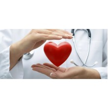 Сердце. Причины и профилактика заболеваний 