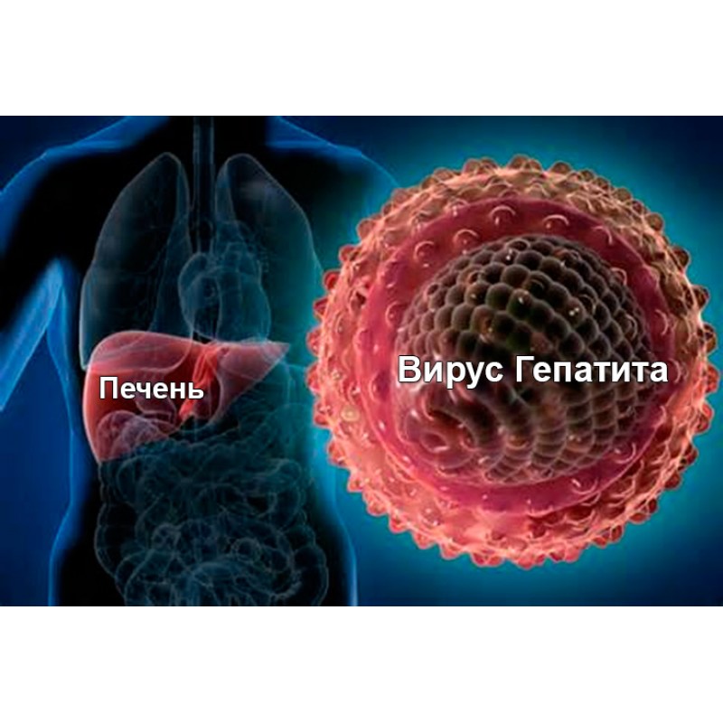Гепатиты - виды, причина, симптомы, лечение, профилактика